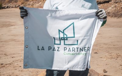 IMPORTANCIA ECOLÓGICA DE LOS ECOSISTEMAS COSTEROS