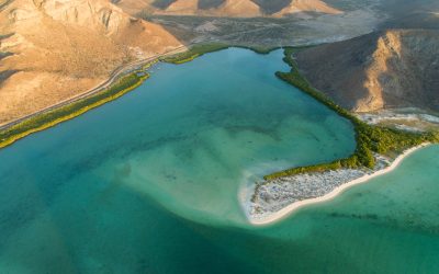 ÁREAS NATURALES PROTEGIDAS COMO…
