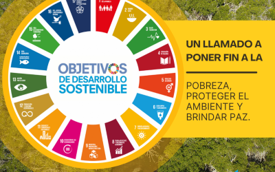 OBJETIVOS DE DESARROLLO SOSTENIBLE
