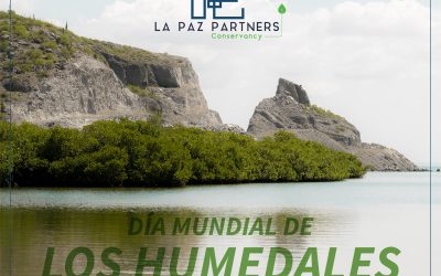 DÍA MUNDIAL DE LOS HUMEDALES